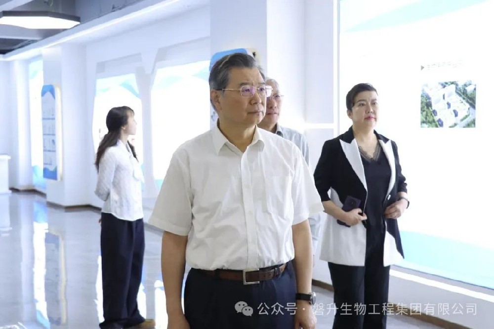 浙江省政協考察組蒞臨磐升集團調研，共話僑胞優勢，賦能開放強省建設?